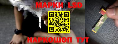 прущие грибы Нягань