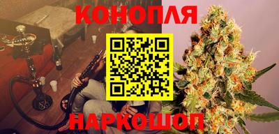 прущие грибы Нягань
