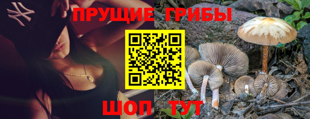 Псилоцибиновые грибы Cubensis Аргун