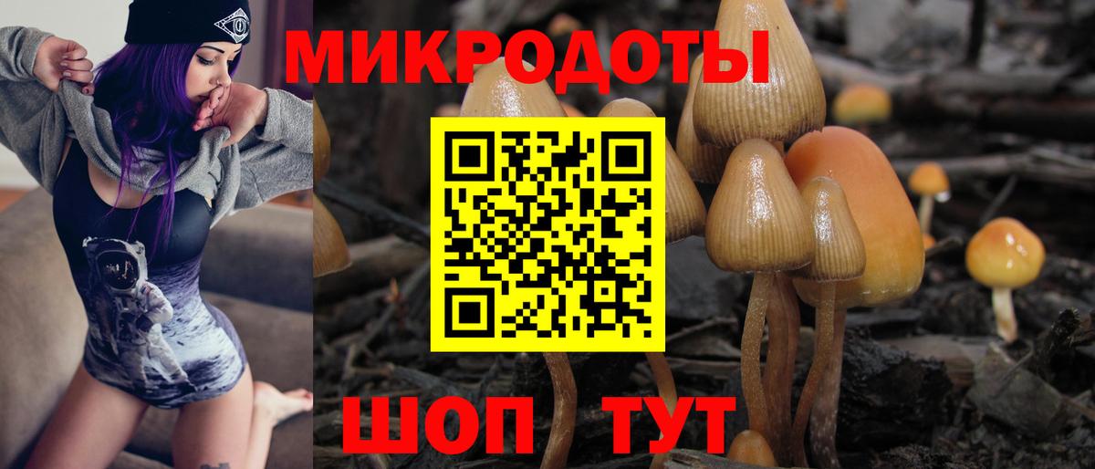 закладка  Псилоцибиновые грибы прущие грибы  Вход с VPN  Аргун  Псилоцибиновые грибы MAGIC MUSHROOMS 